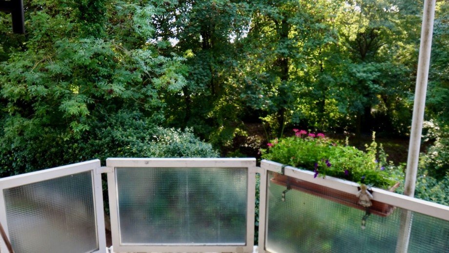 IMG 1043 Erdgeschosswohnung Wiesbaden