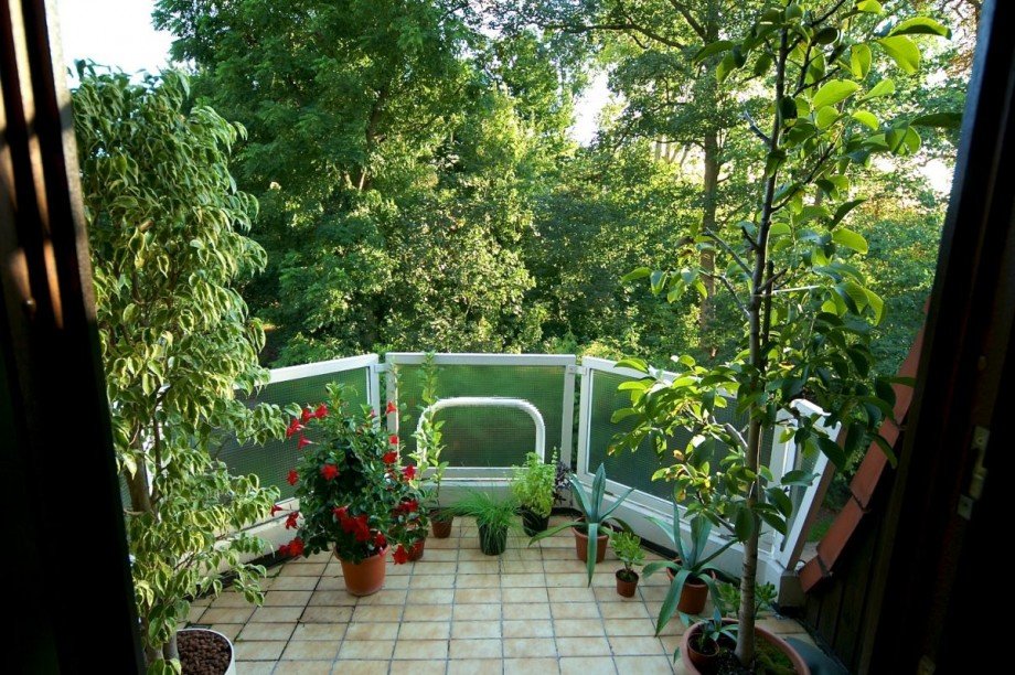 Der Balkon mit... Penthousewohnung Wiesbaden