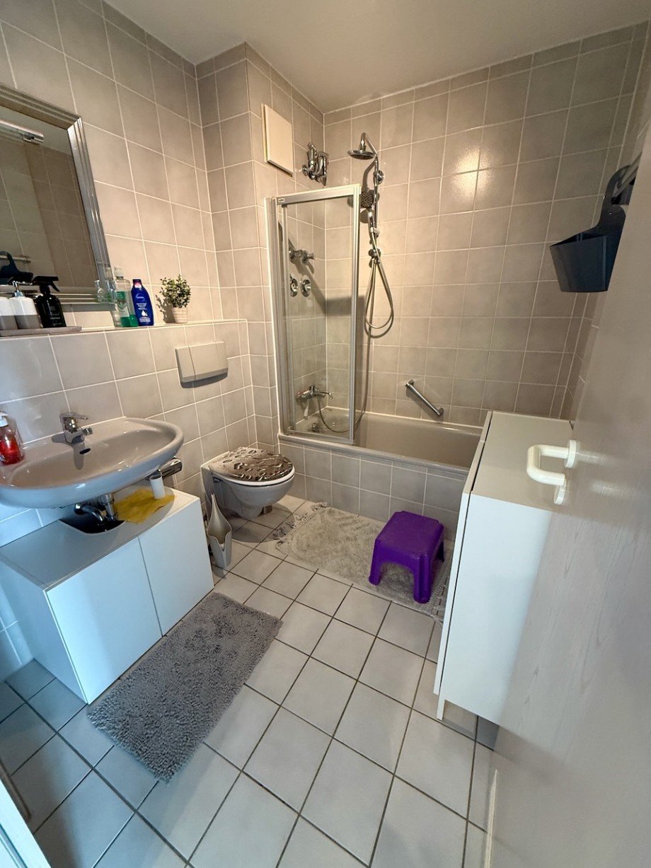 IMG 1303 Wohnung Wiesbaden