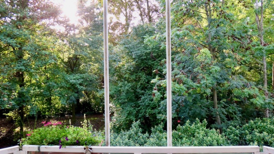 IMG 1042 Erdgeschosswohnung Wiesbaden