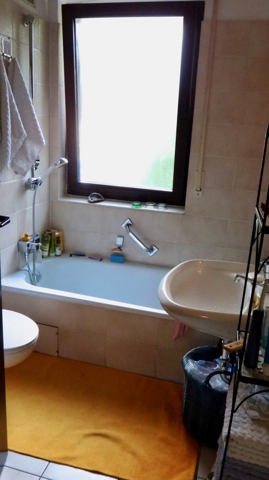 IMG 1032 Erdgeschosswohnung Wiesbaden