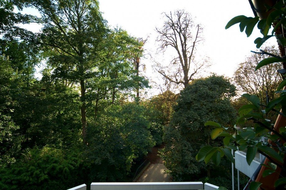 ...herrlicher Aussicht! Penthousewohnung Wiesbaden
