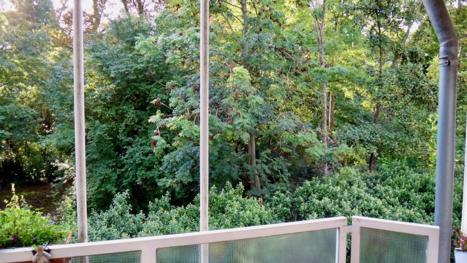 IMG 1041 Erdgeschosswohnung Wiesbaden